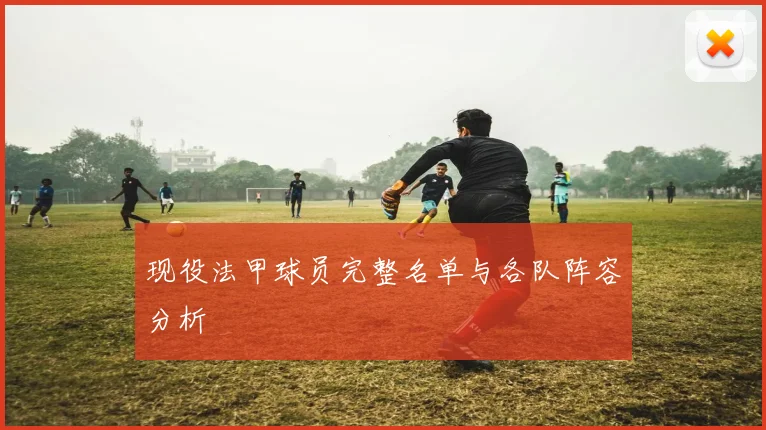 现役法甲球员完整名单与各队阵容分析