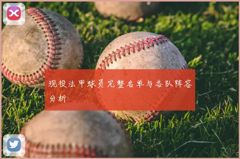 现役法甲球员完整名单与各队阵容分析